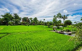 KajaNe Yangloni at Ubud Bali